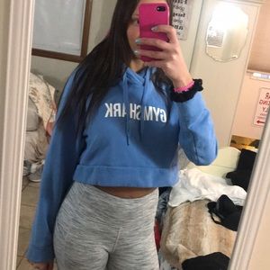 Blue gym shark cropped sweatshirt
